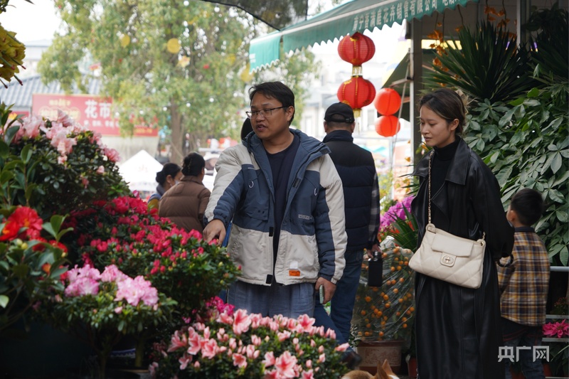 宁迎春花市开市 姹紫嫣红迎新春CQ9电子最新网站2025南(图3) 宁迎春花市开市 姹紫嫣红迎新春CQ9电子最新网站2025南(图3)